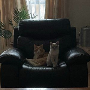 Take a LooK at MY Closet :)